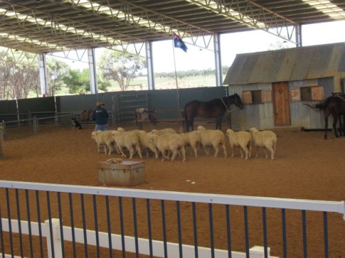2025 May Longreach Trip