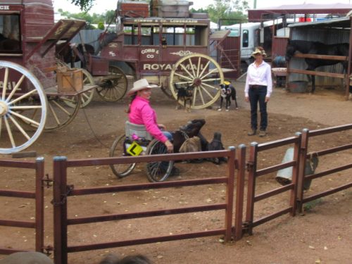 2025 May Longreach Trip